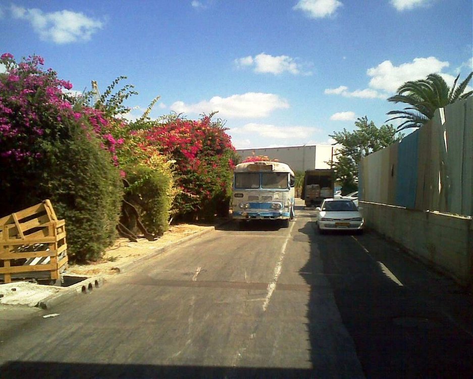 תמונה050.jpg
