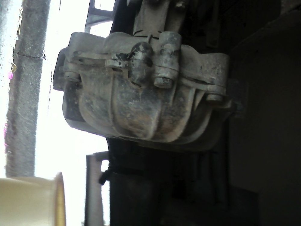 dk 005.jpg