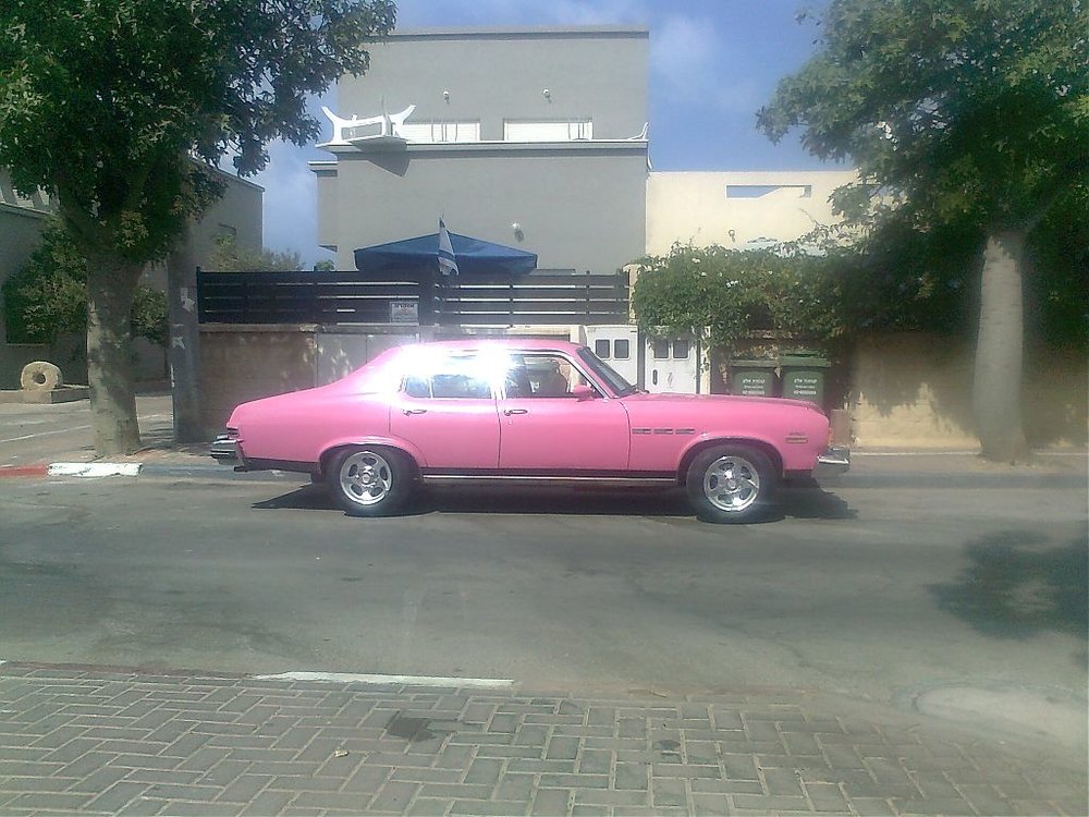 פרופ.jpg