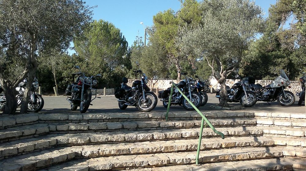 טיול שבת בבוקר10.jpg