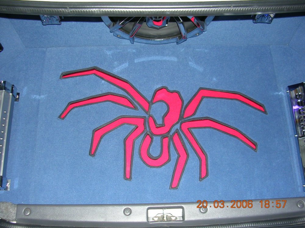 stam2 028.jpg