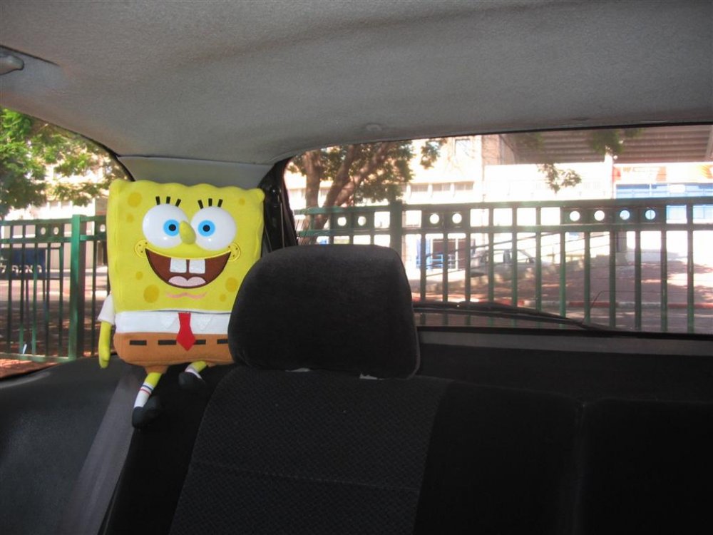 IMG_0487 (Large).JPG