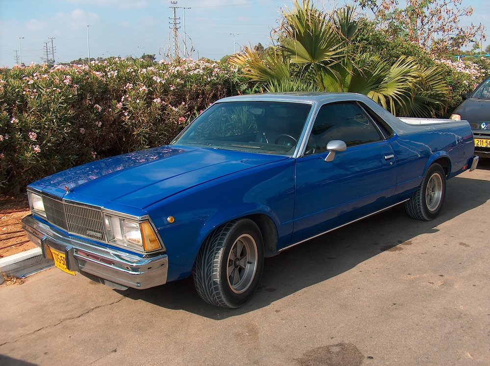 מפגש השרון בגעש  3.7.15 001.jpg