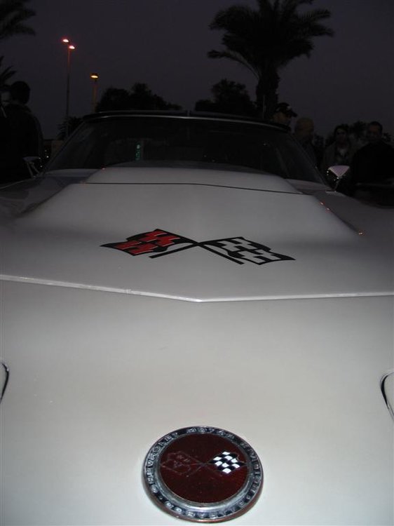 IMG_5606 (Large).jpg