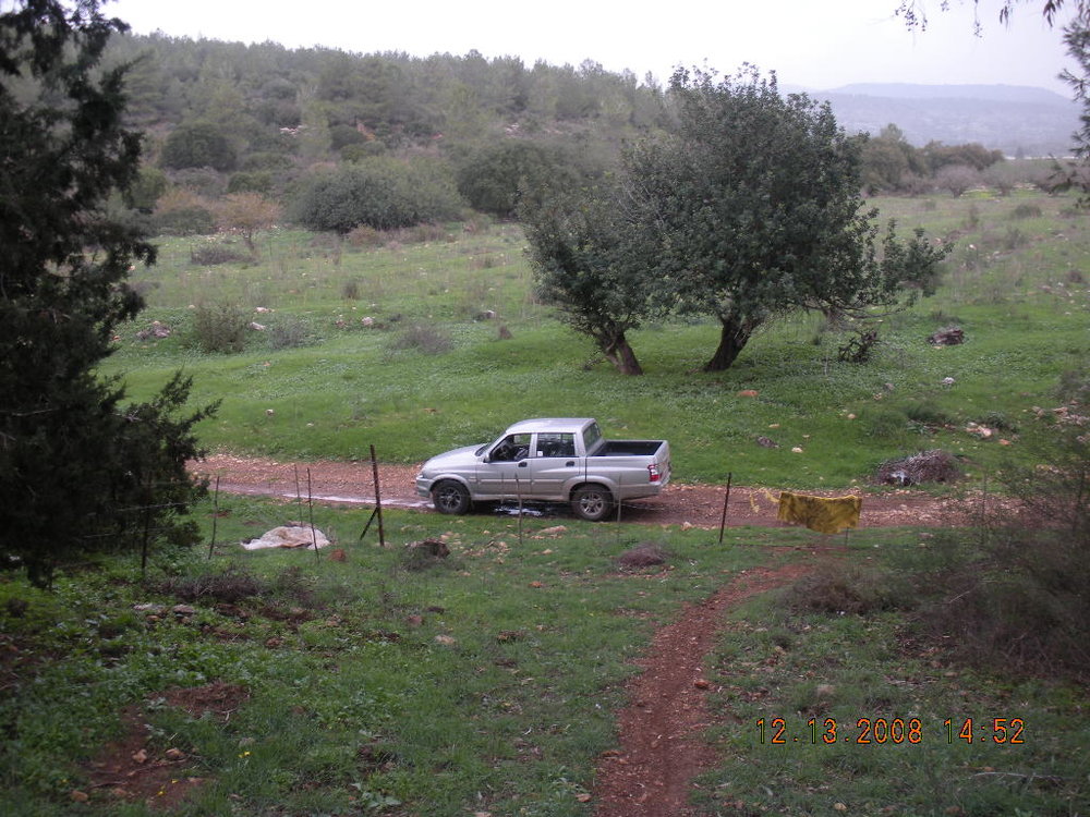 1 097.jpg