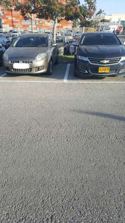 ערוך.jpg