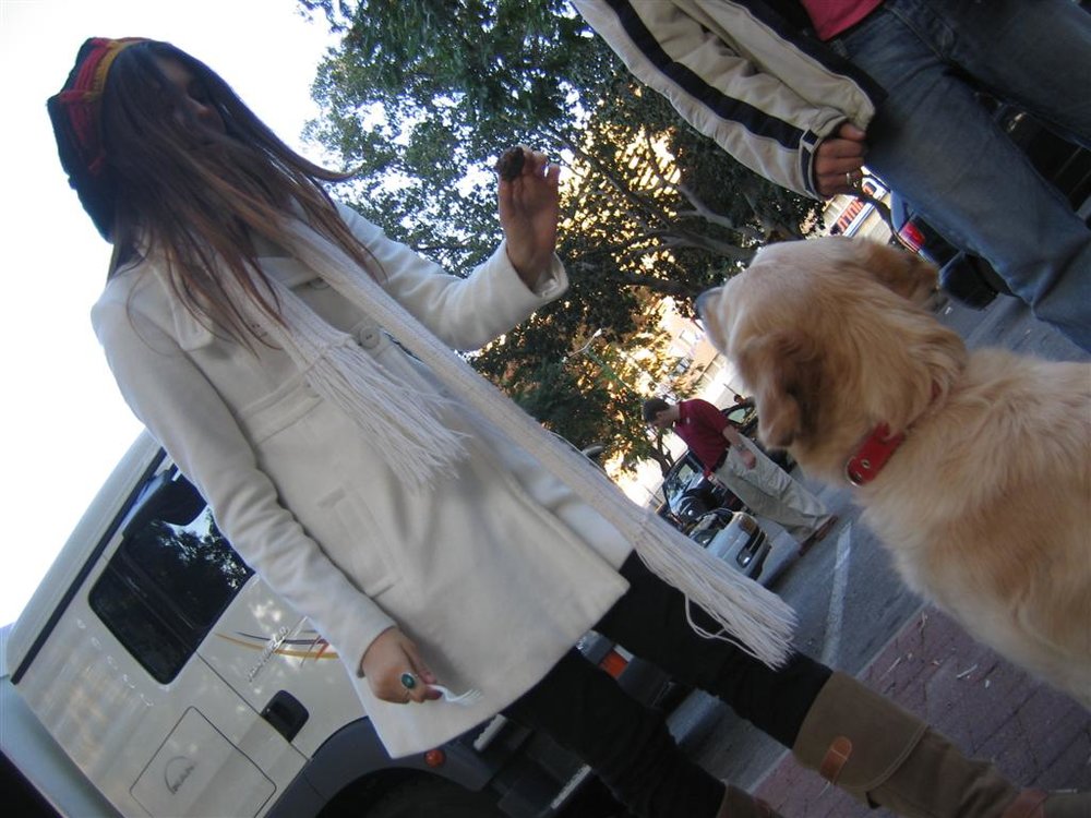 IMG_3605 (Large).JPG