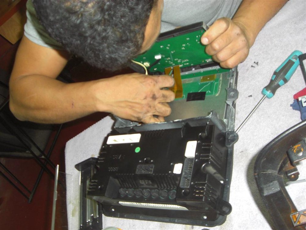 CIMG6768 (Large).JPG