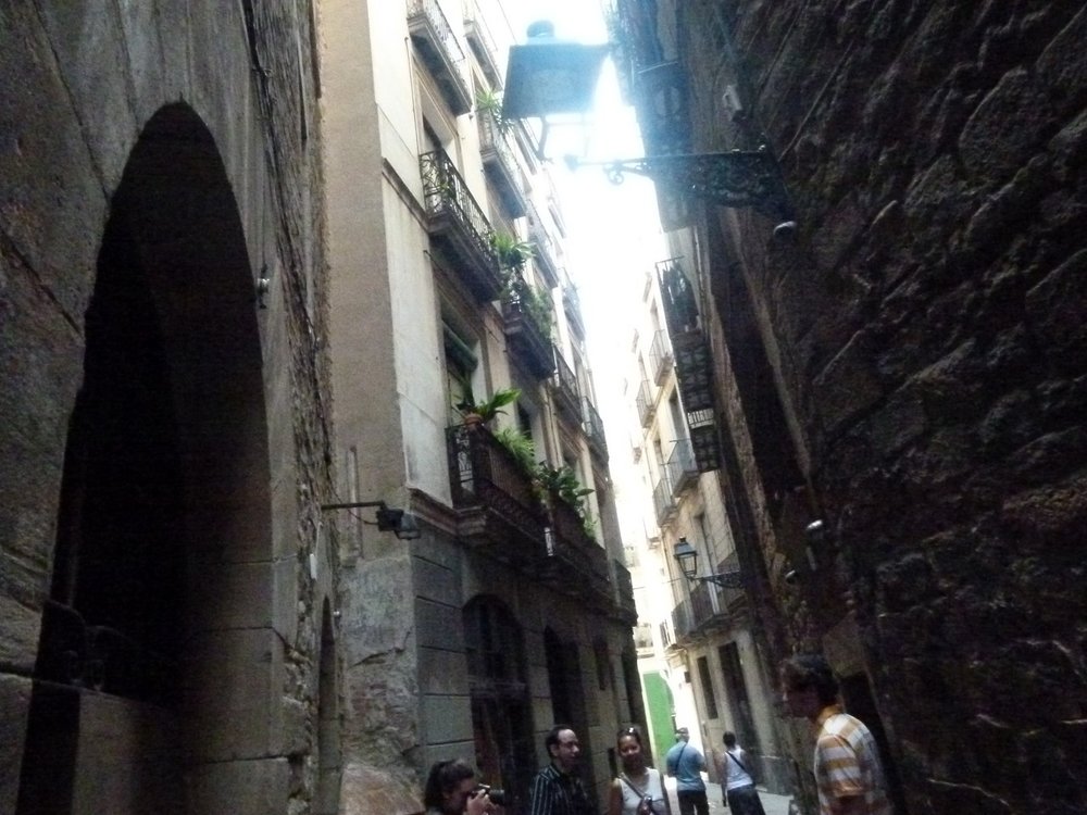 P1010523 (Copy).JPG