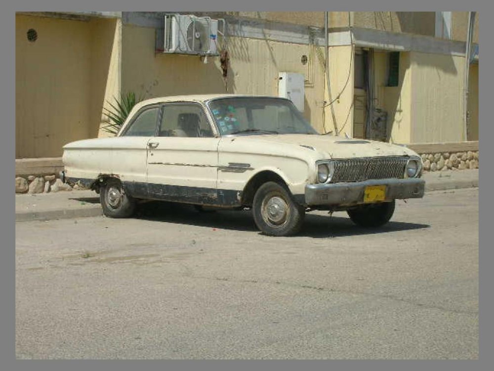 זיהוי 1.JPG