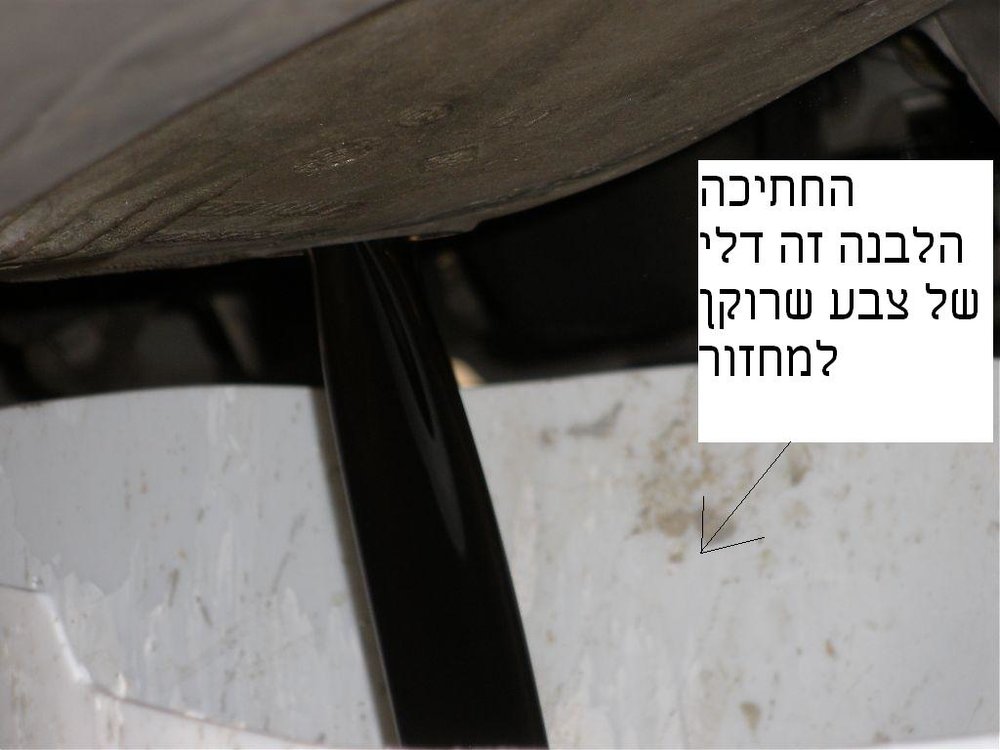 דלי.jpg