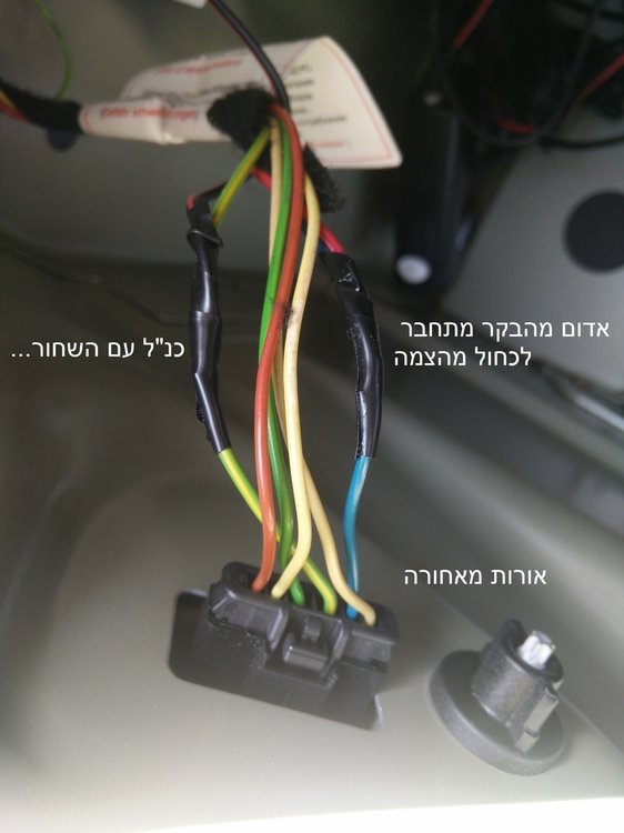 רוורס.jpg