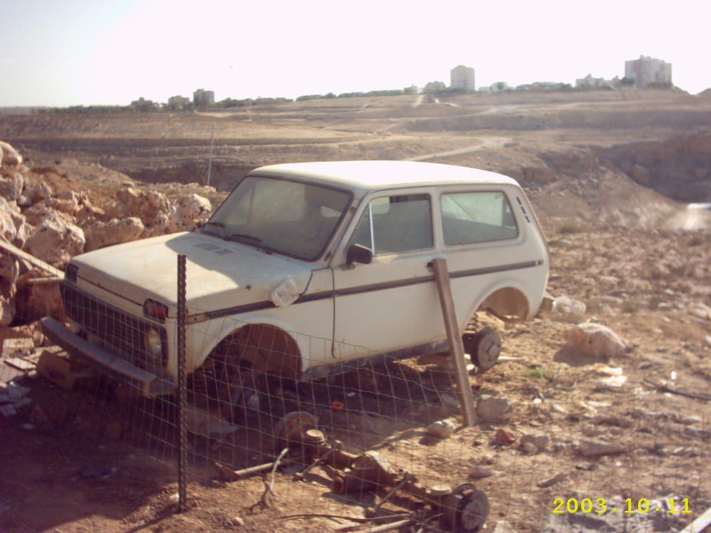 הניבה השנייה.JPG