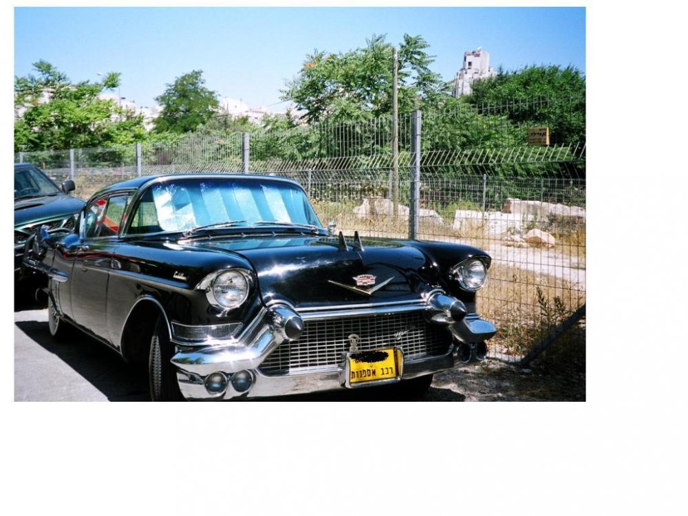 קדילק.JPG