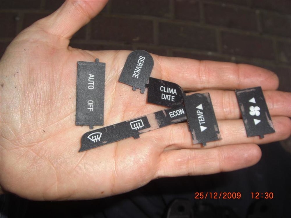 CIMG2416 (Large).JPG