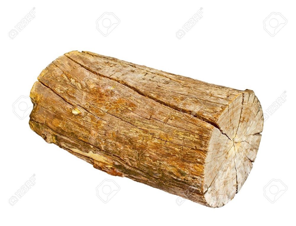 11430297-isolated-old-fire-log-Stock-Photo-log-wood-piece.jpg