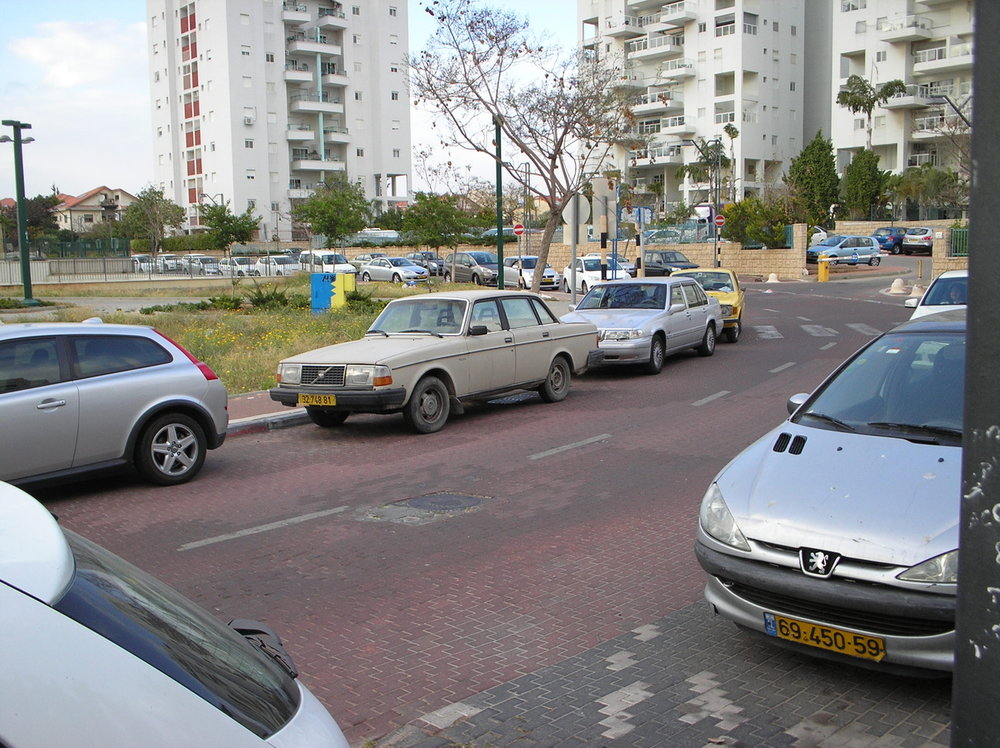 חתולים 044.jpg
