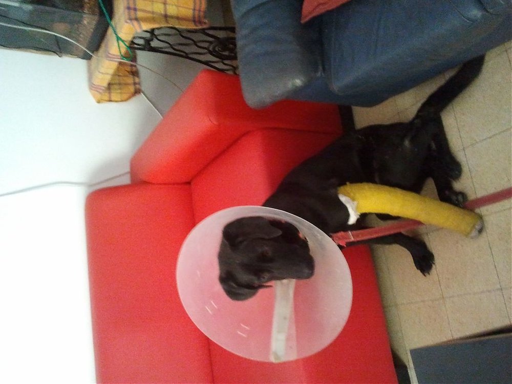 2011-12-04 15.07.28.jpg