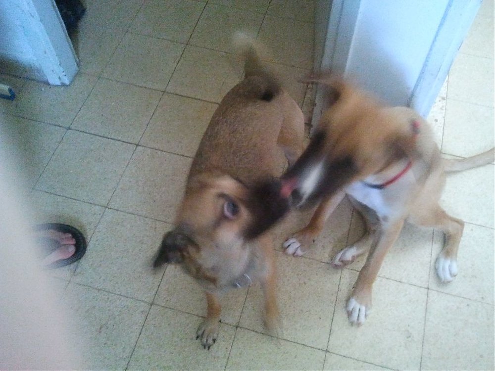 2011-07-30 13.22.54.jpg