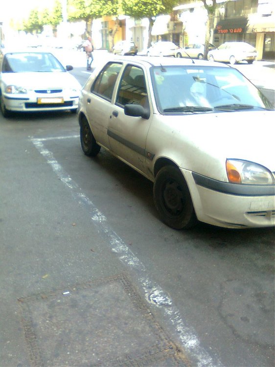 תמונה40054.jpg