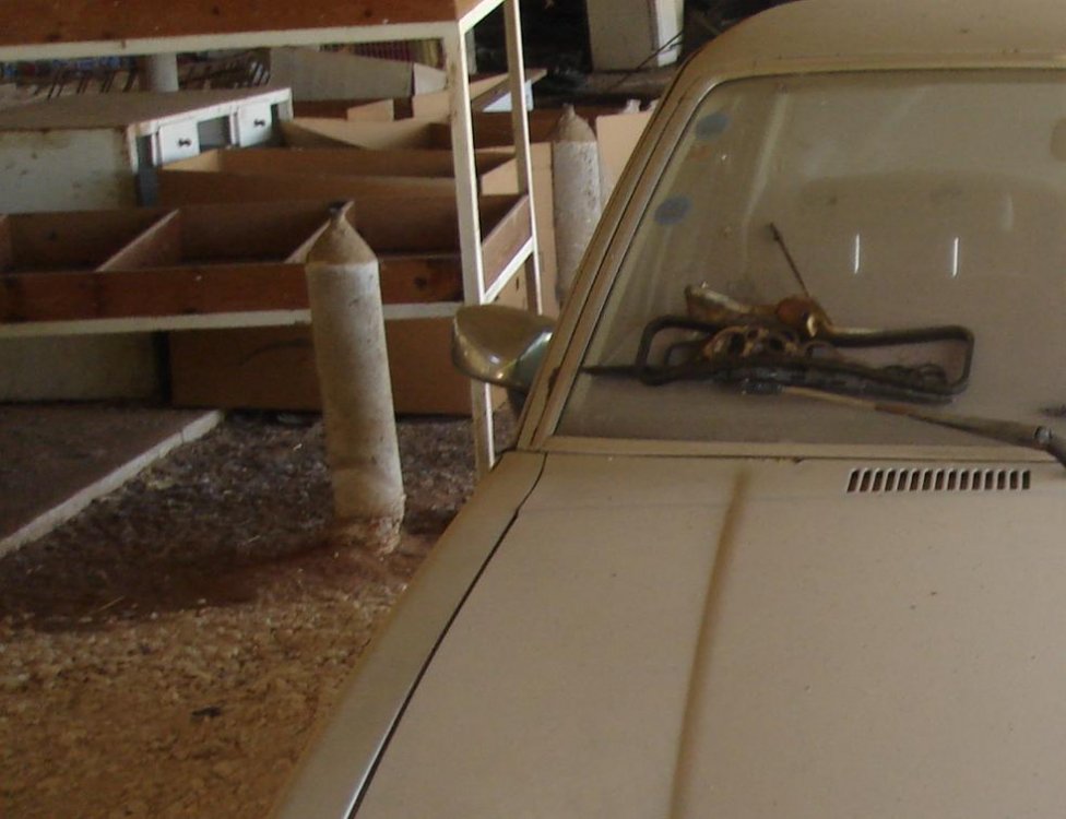מוקטן072006 017.JPG