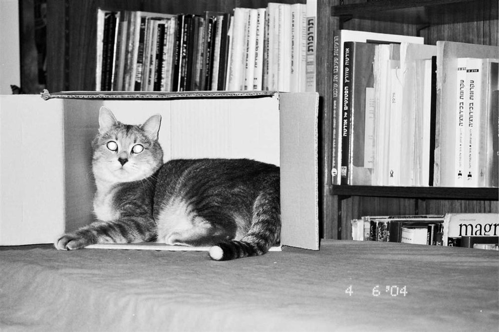 11A_0290.jpg