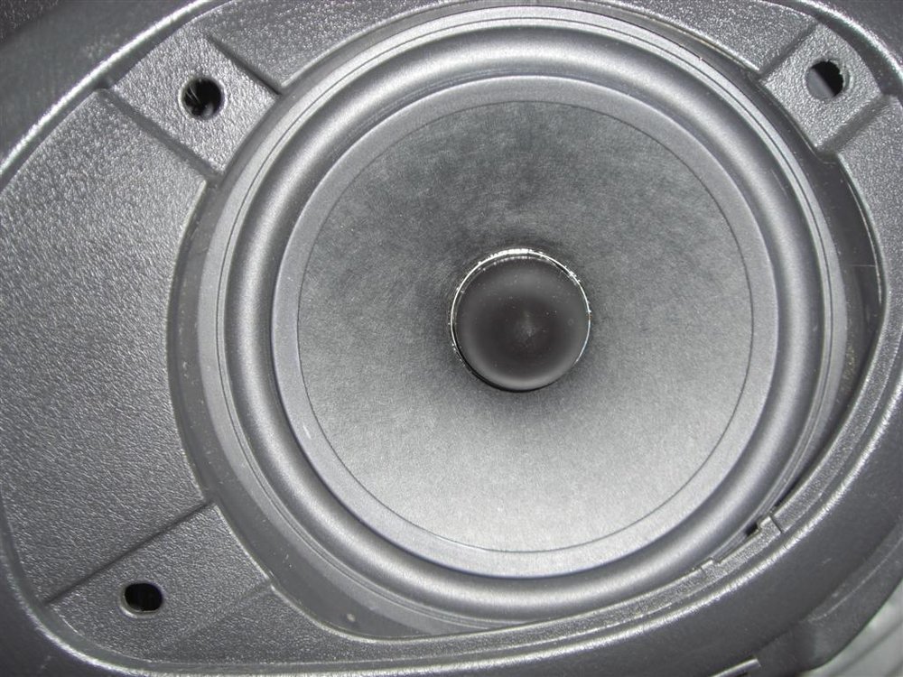 CIMG6085 (Large).JPG