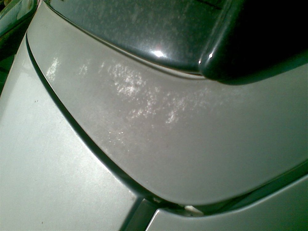 12042009(001).jpg