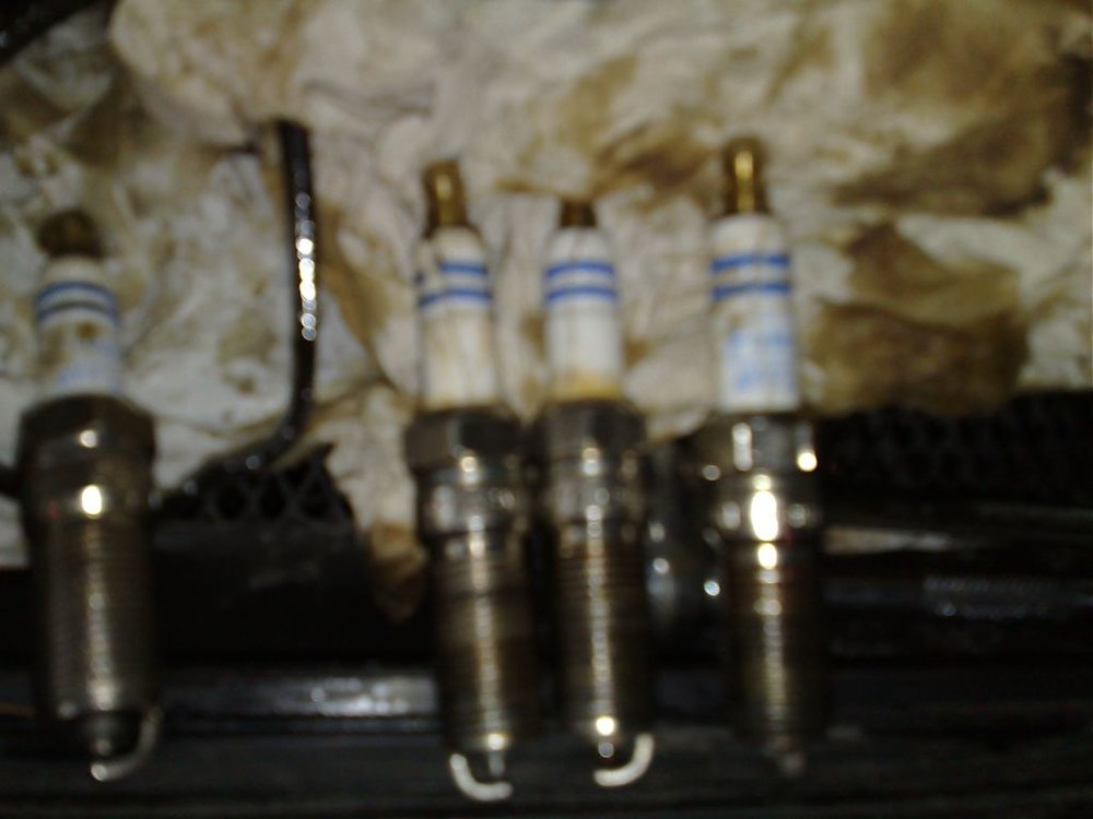 12042009547.jpg
