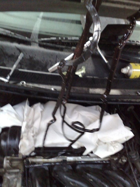 12042009552.jpg