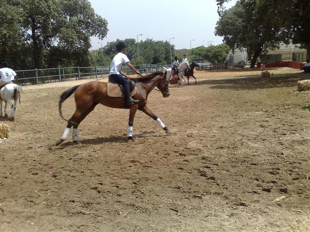 120620102262.jpg