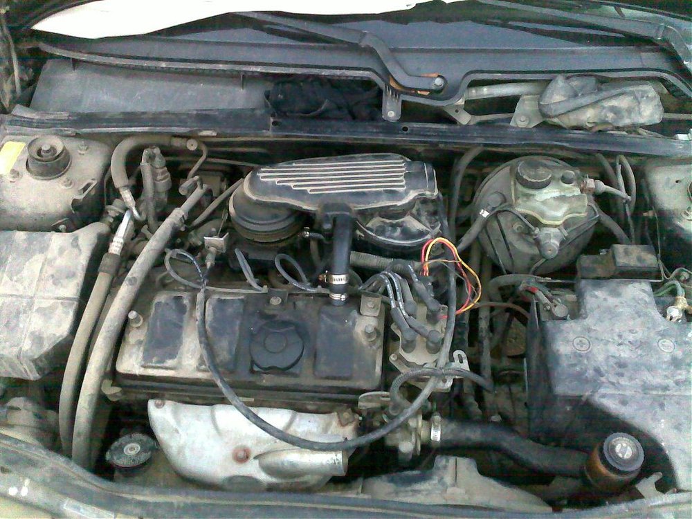 12072009237.jpg