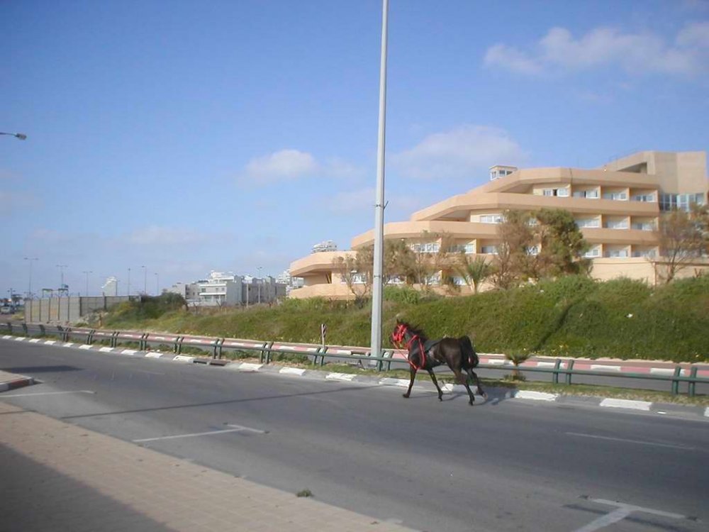 121.jpg