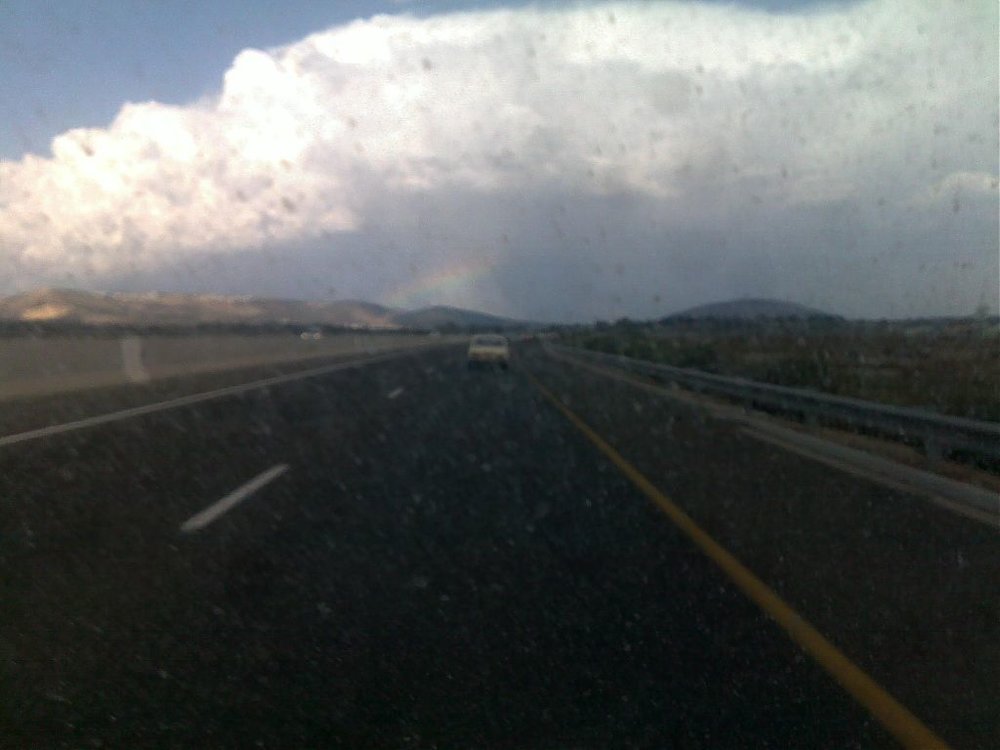 כנרת 2010 003.jpg