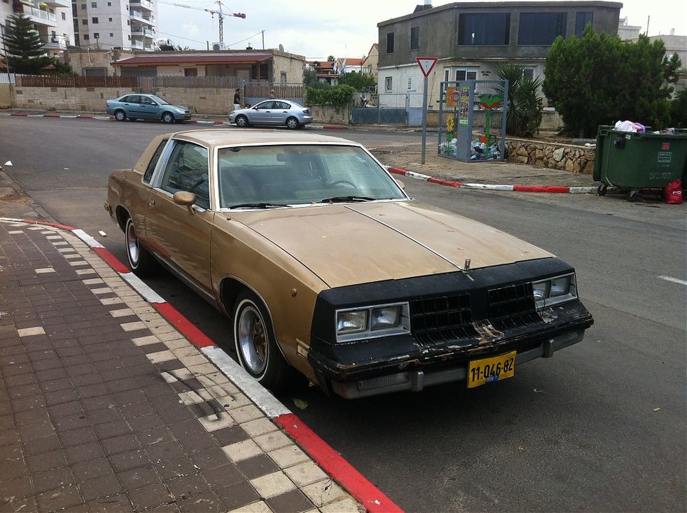 תמונות מישל 002.jpg