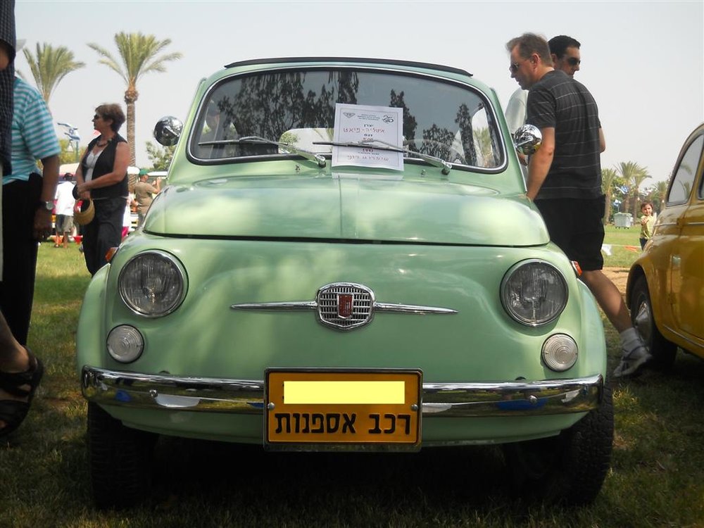 17 (Large).jpg