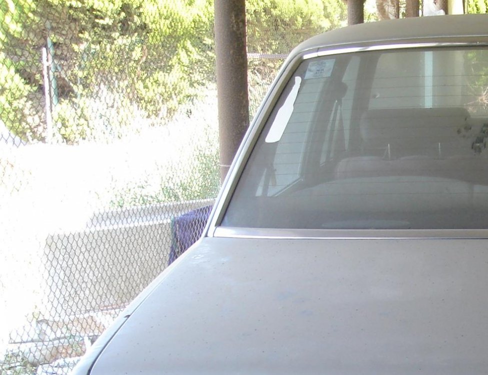 מוקטן072006 016.JPG