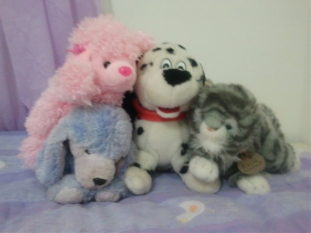 2012-01-06 07.29.55.jpg