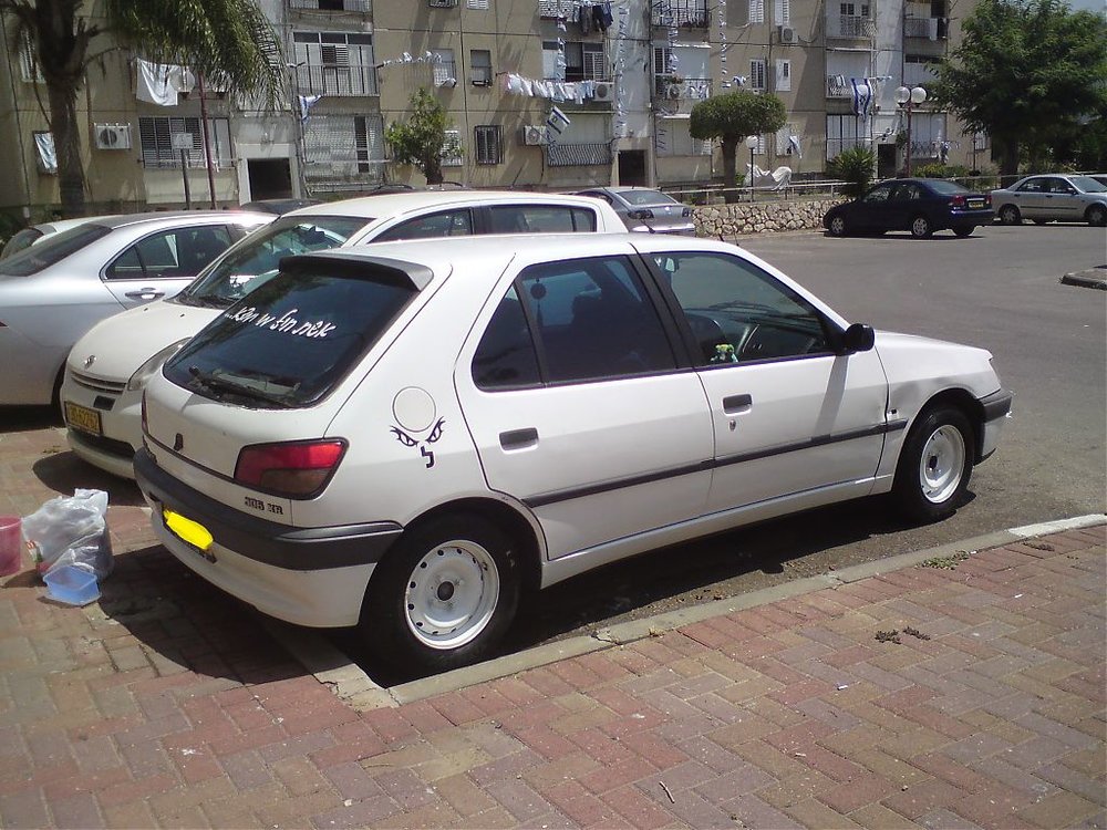 אמיר.jpg