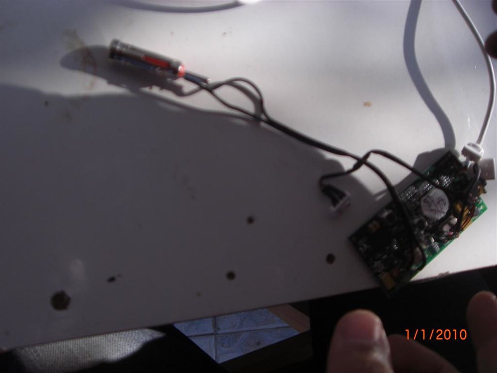 CIMG2547 (Large).JPG