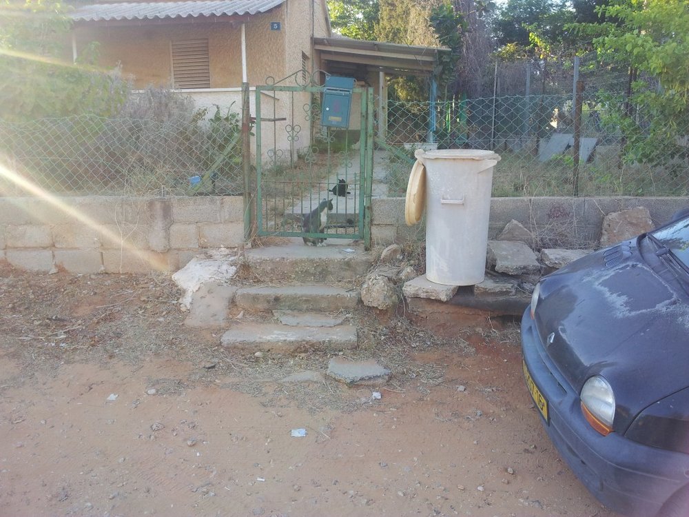 חניה.jpg