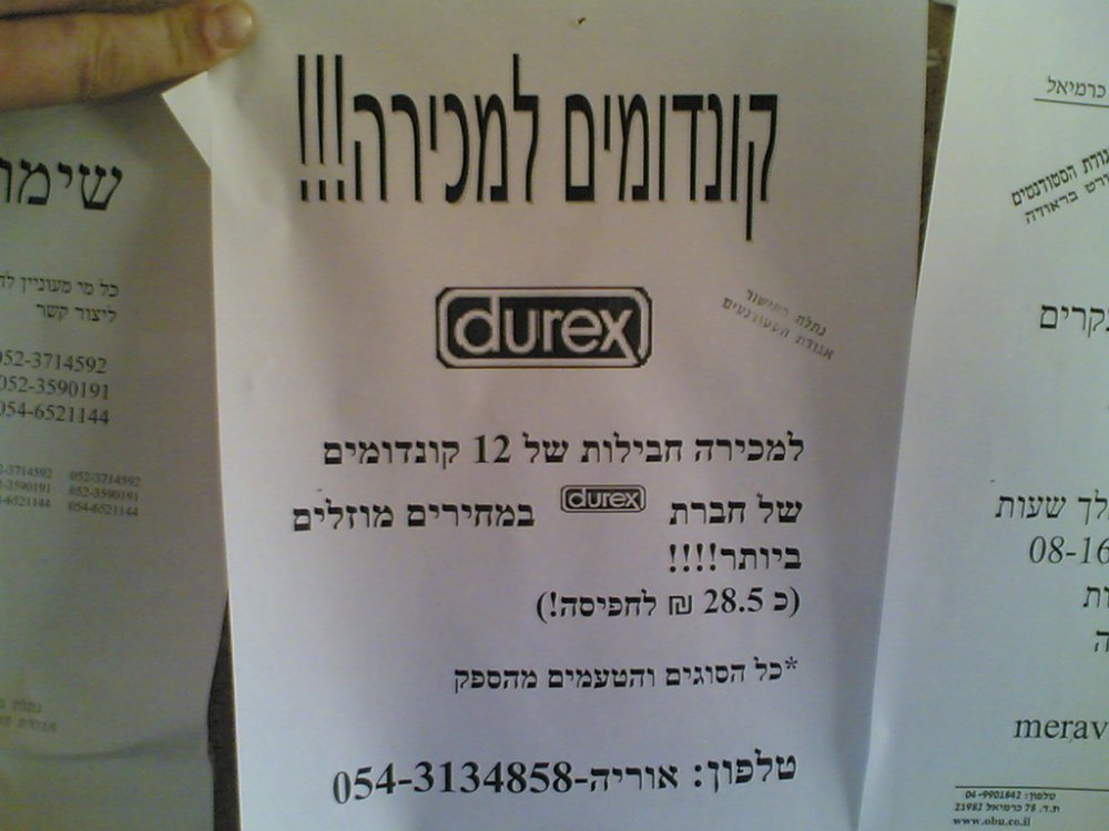 13122005.jpg
