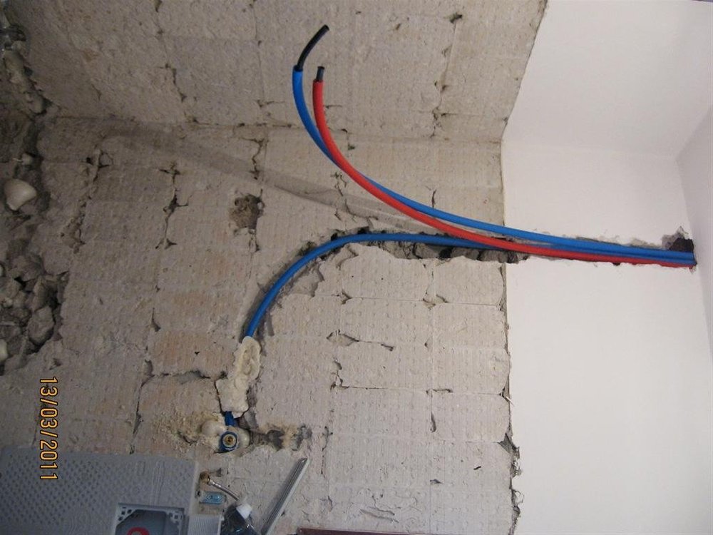 IMG_0316 (Medium).JPG