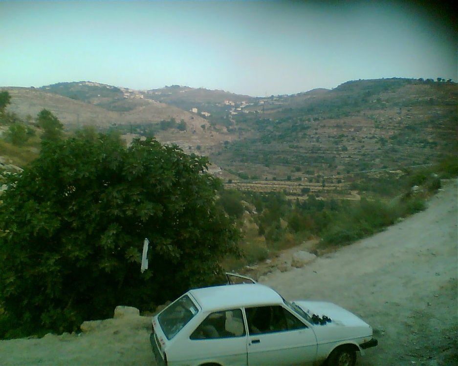 תמונה016.jpg