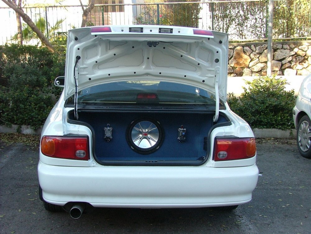 stam2 001.jpg