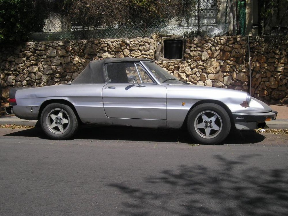 אלפא84.JPG