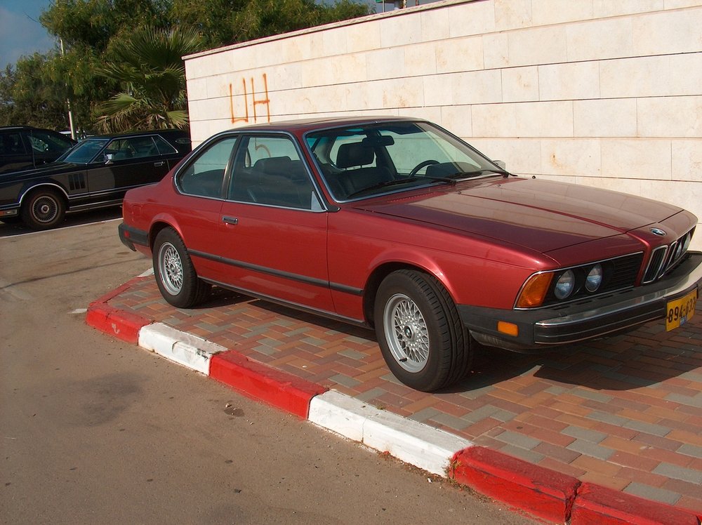 מפגש השרון בגעש  3.7.15 019.jpg