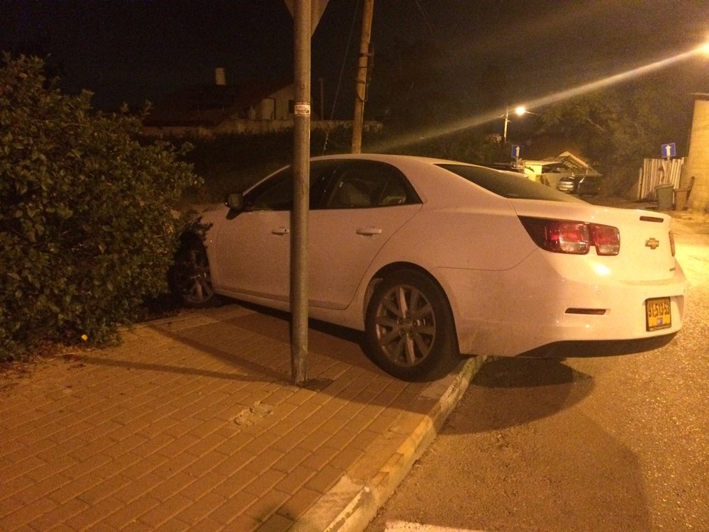 תמונה.jpg
