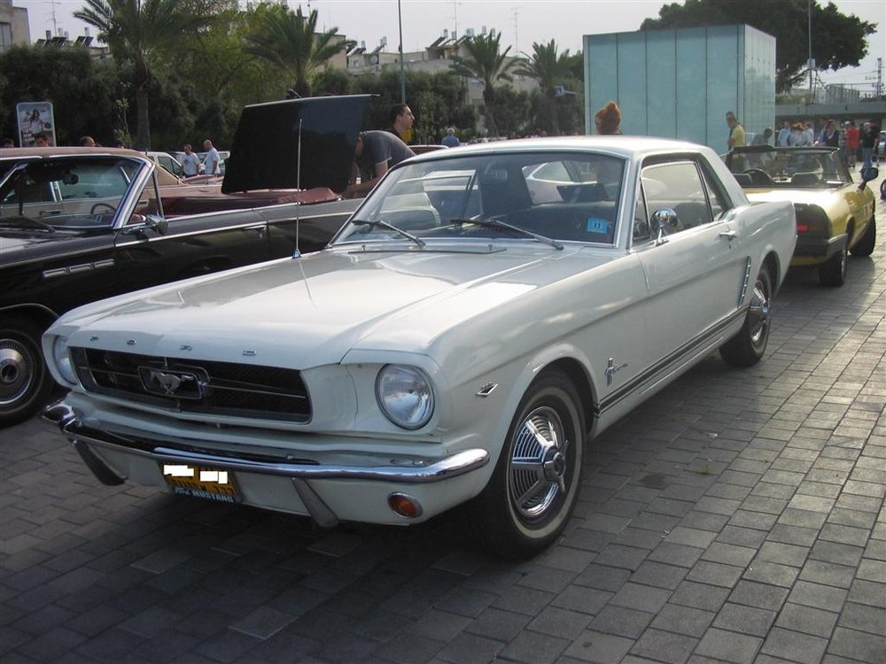 5 (Large).JPG