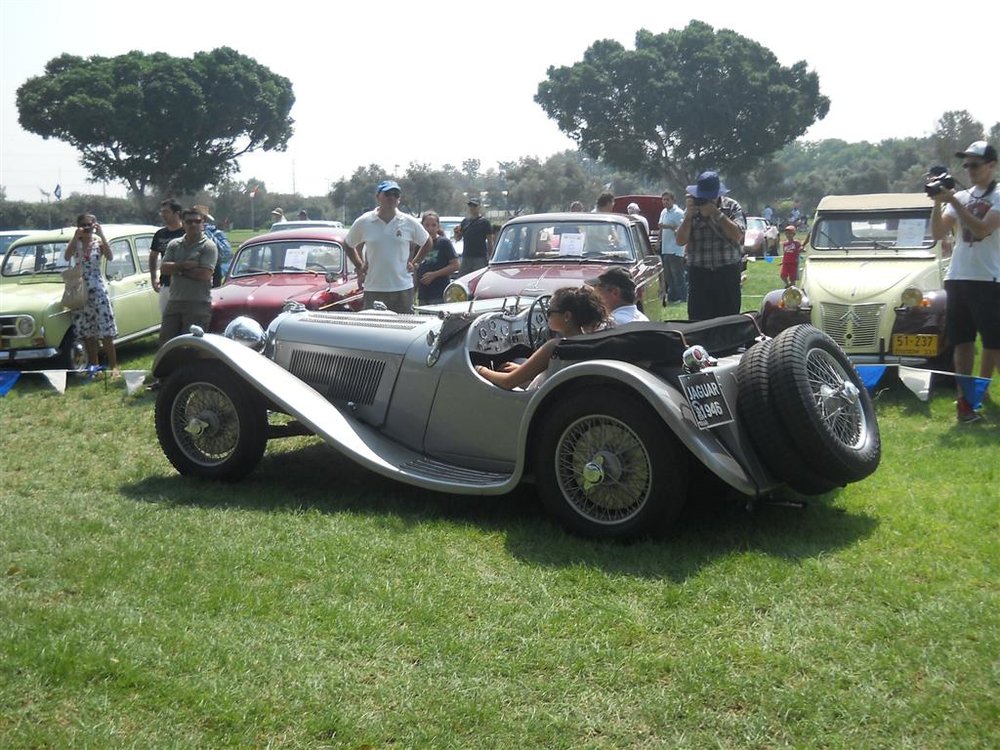 100 (Large).jpg